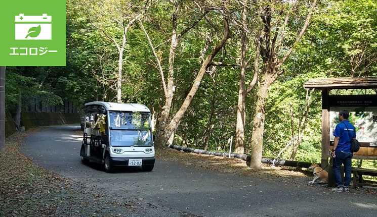 環境に優しい、電気自動車